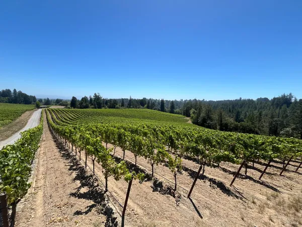 $2,200,000 | 11480 Graton Road, Sebastopol, CA 95472