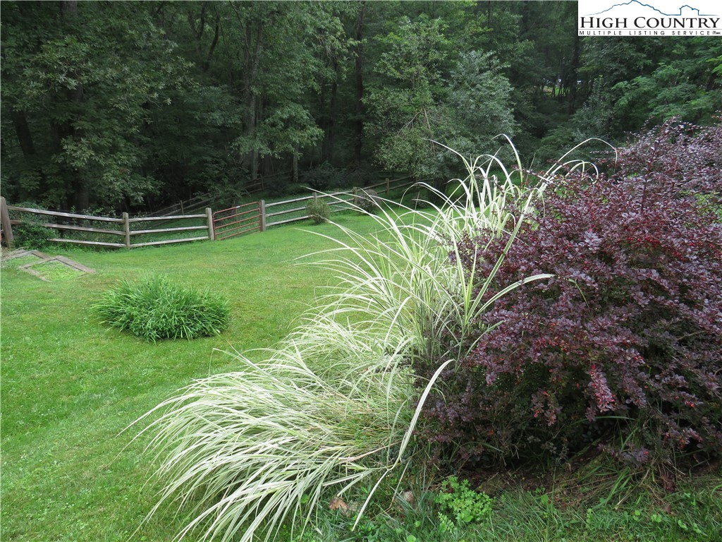 296 Silo Road Sparta, NC 28675 - Photo 2 of 24 a view of a garden