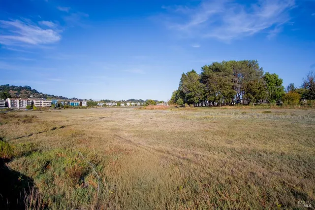a view of a lake with houses in the background