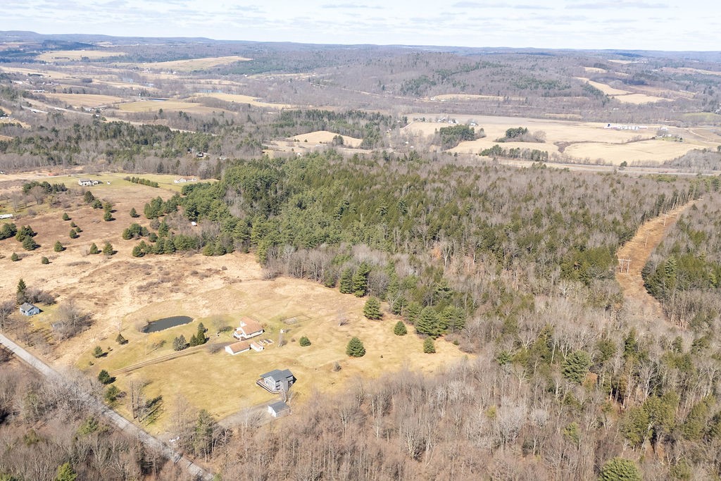 209 Perry Road Sanford, NY 13813 - Photo 10 of 42