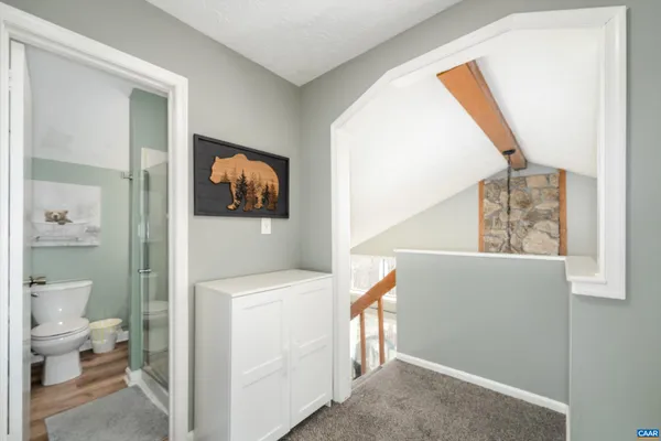 a view of a hallway with closet and a potted plant