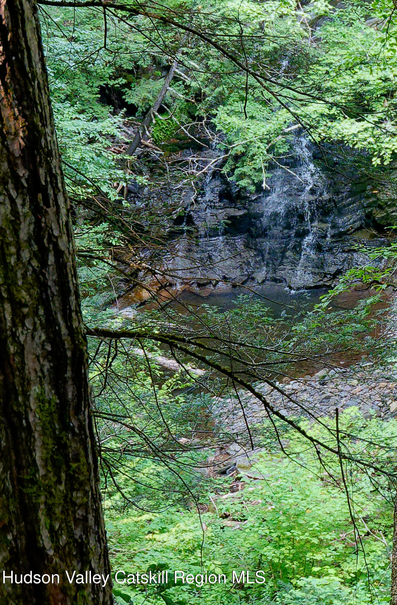 1324 Hauverville Road Middleburgh, NY 12122 - Photo 20 of 28 a view of a garden