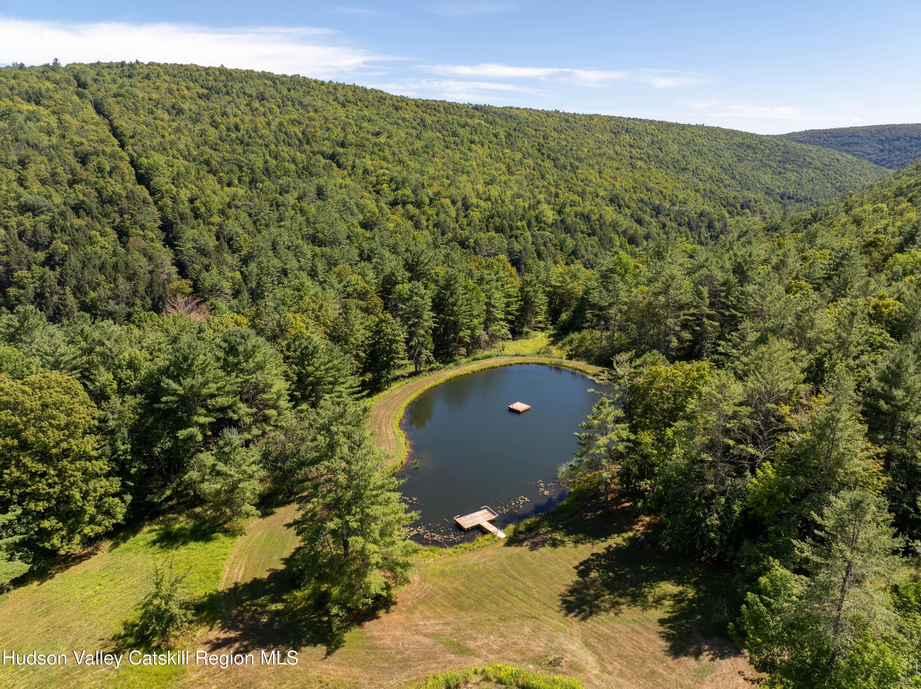 1324 Hauverville Road Middleburgh, NY 12122 - Photo 26 of 28 a view of a forest