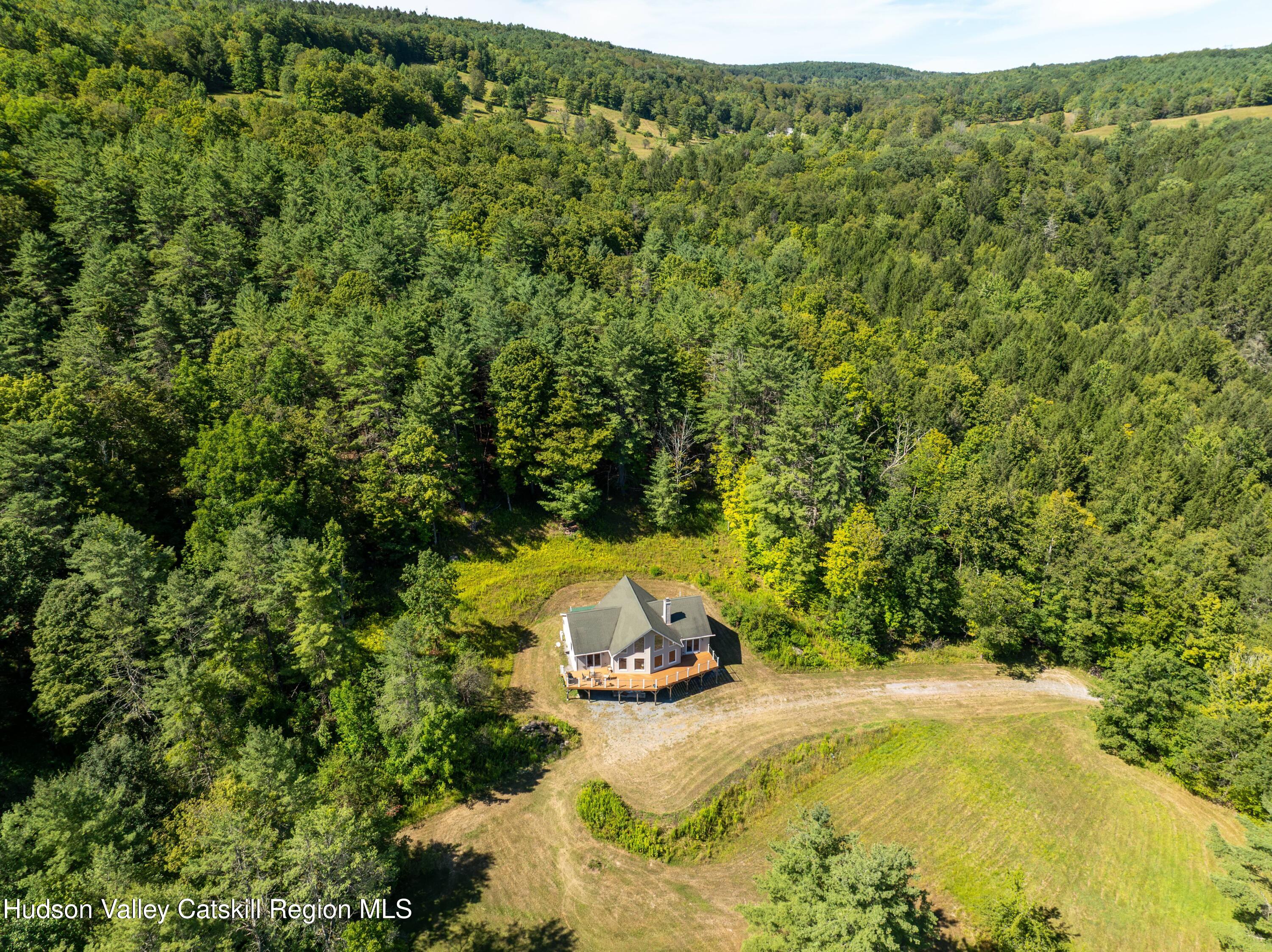 1324 Hauverville Road Middleburgh, NY 12122 - Photo 27 of 28 a view of a trees with a yard