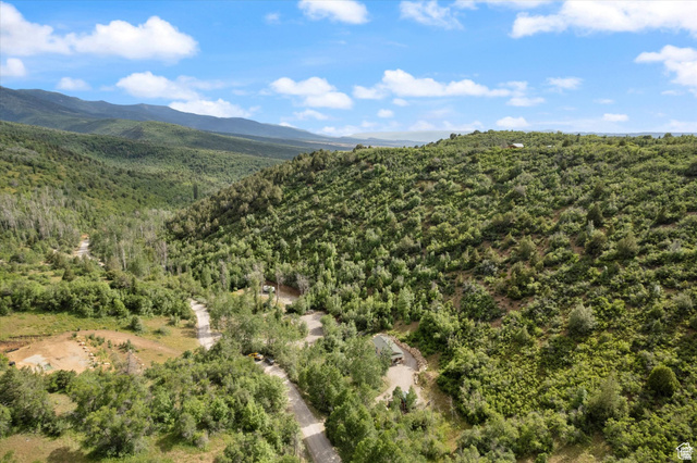 19845 North 14070 (north Fork Rd) Road East, Unit 313 Mount Pleasant, UT 84647 - Photo 32 of 39 Mountain view featuring a forest.