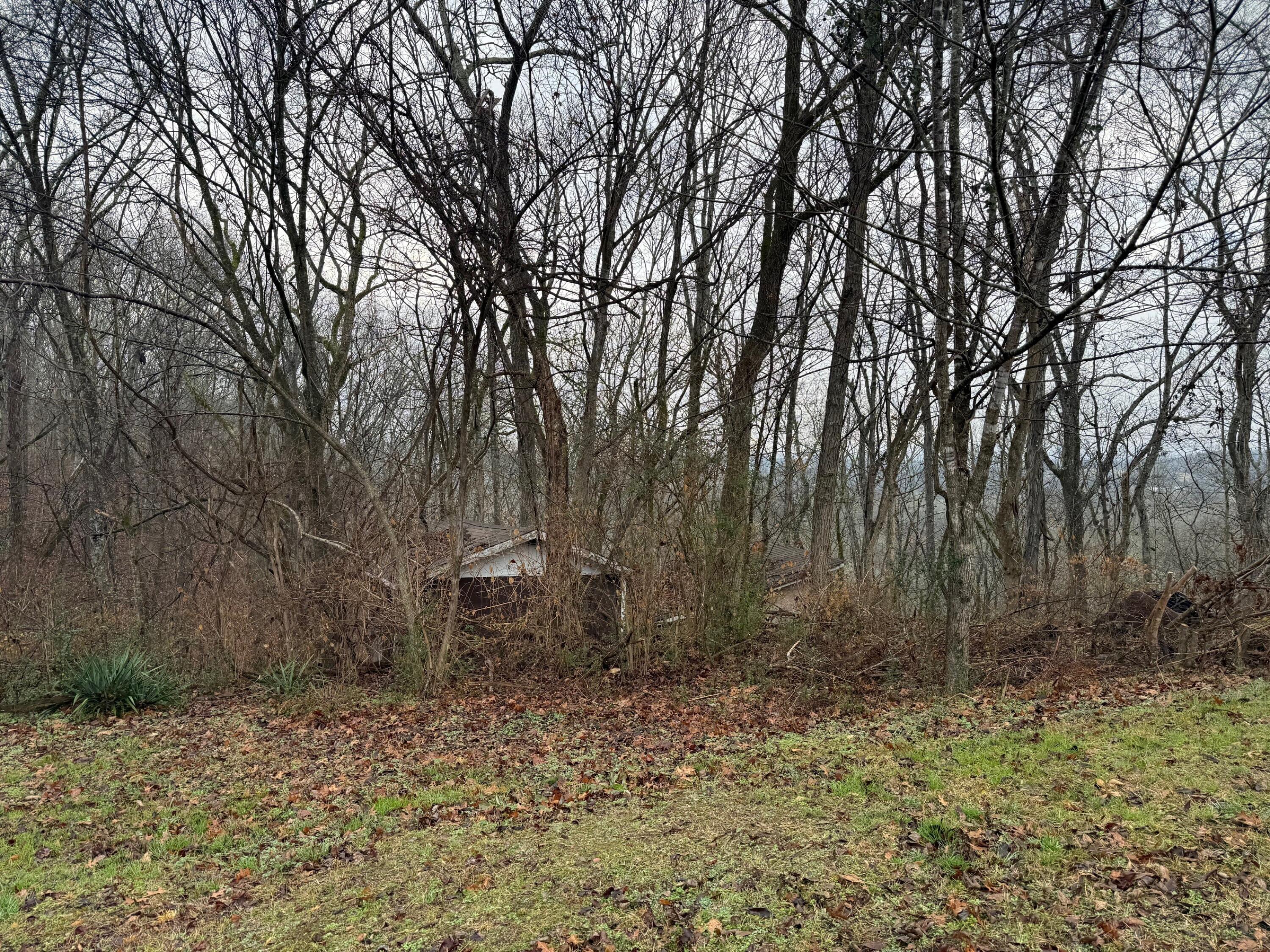 3795 Griffith Highway Jasper, TN 37347 - Photo 7 of 18 18