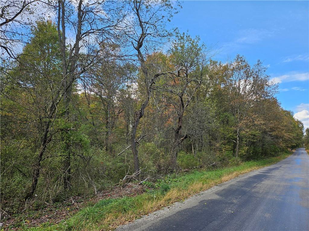 0 Black Road Harrisville, PA 16038 - Photo 9 of 10