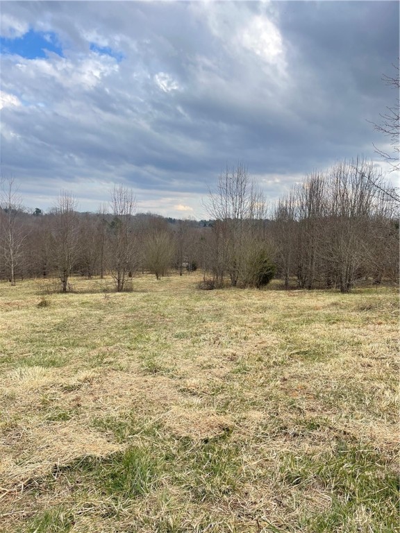 0 Flat Rock Road Walhalla, SC 29691 - Photo 1 of 10 Gallery Image 1