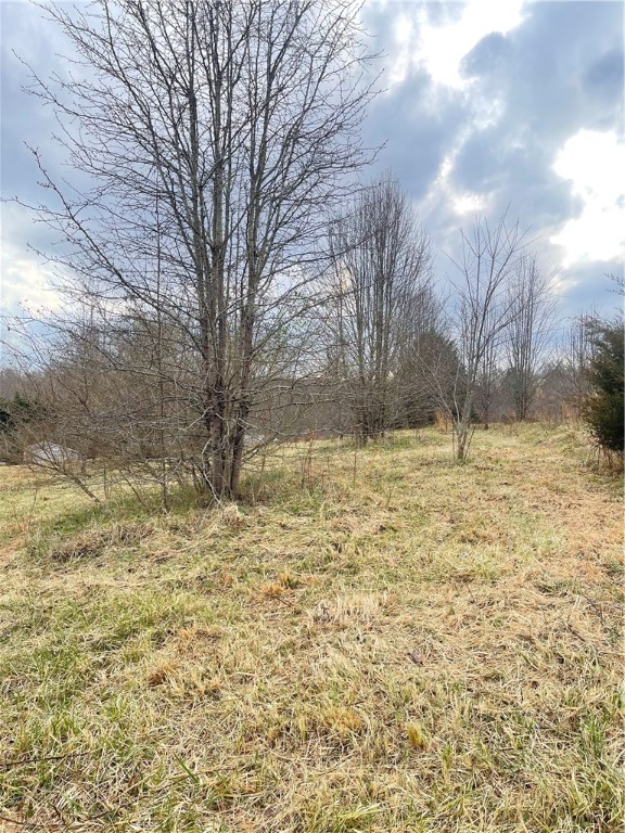 0 Flat Rock Road Walhalla, SC 29691 - Photo 2 of 10 Gallery Image 2