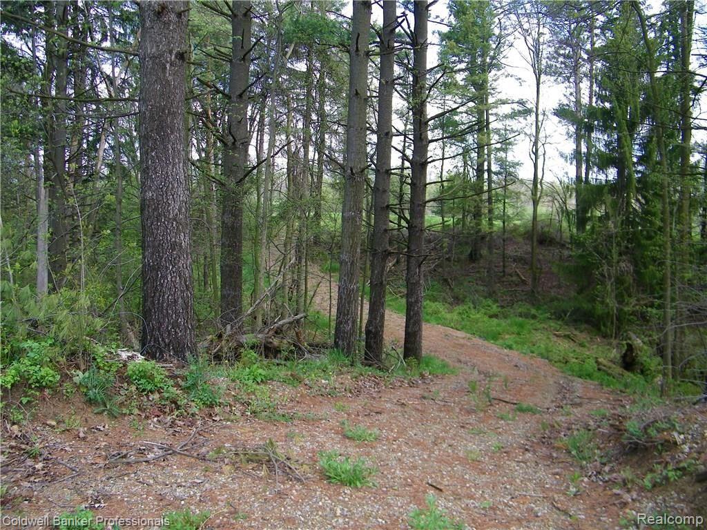 Parcel C Martus Road North Branch, MI 48461 - Photo 5 of 7 Gallery Image 5