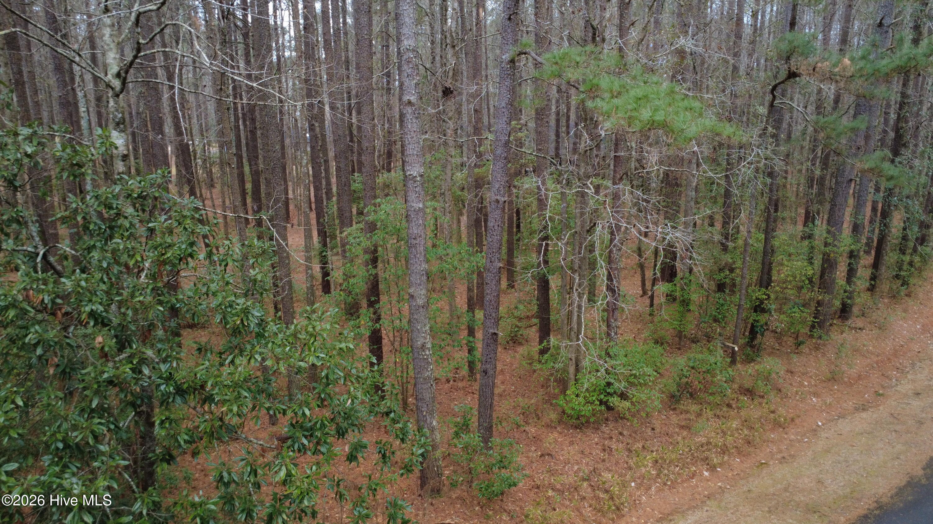 27 Pelican Bay Road Washington, NC 27889 - Photo 13 of 15 DJI_0875