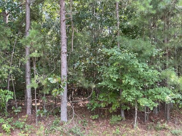 11 Old Ridgeway Road Tallapoosa, GA 30176 - Photo 3 of 3