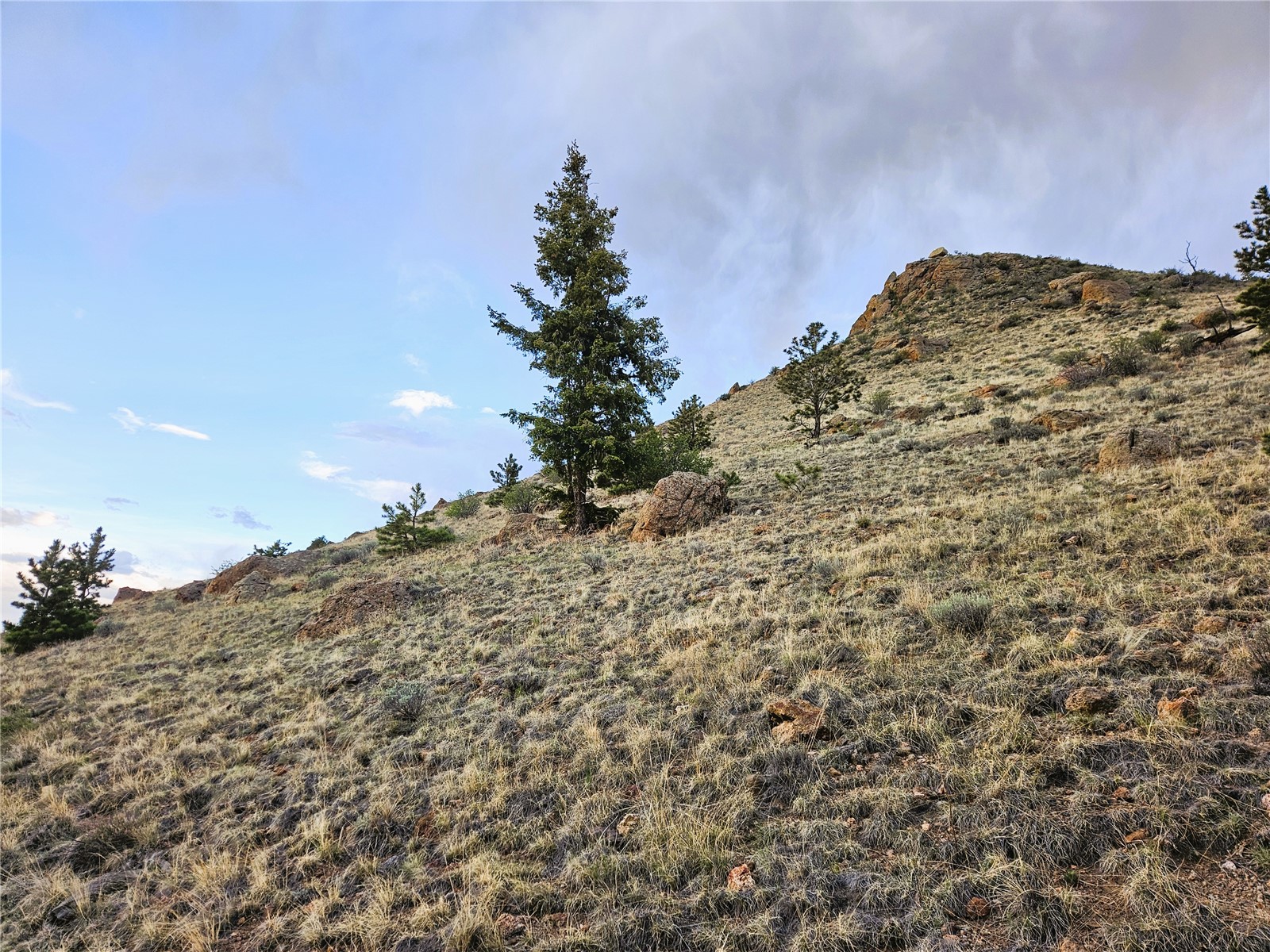 Pcs#25468 Sioux Road Hartsel, CO 80449 - Photo 17 of 23