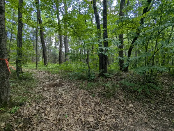 $26,900 | Lot 5 Fosmo, Webster, WI 54893