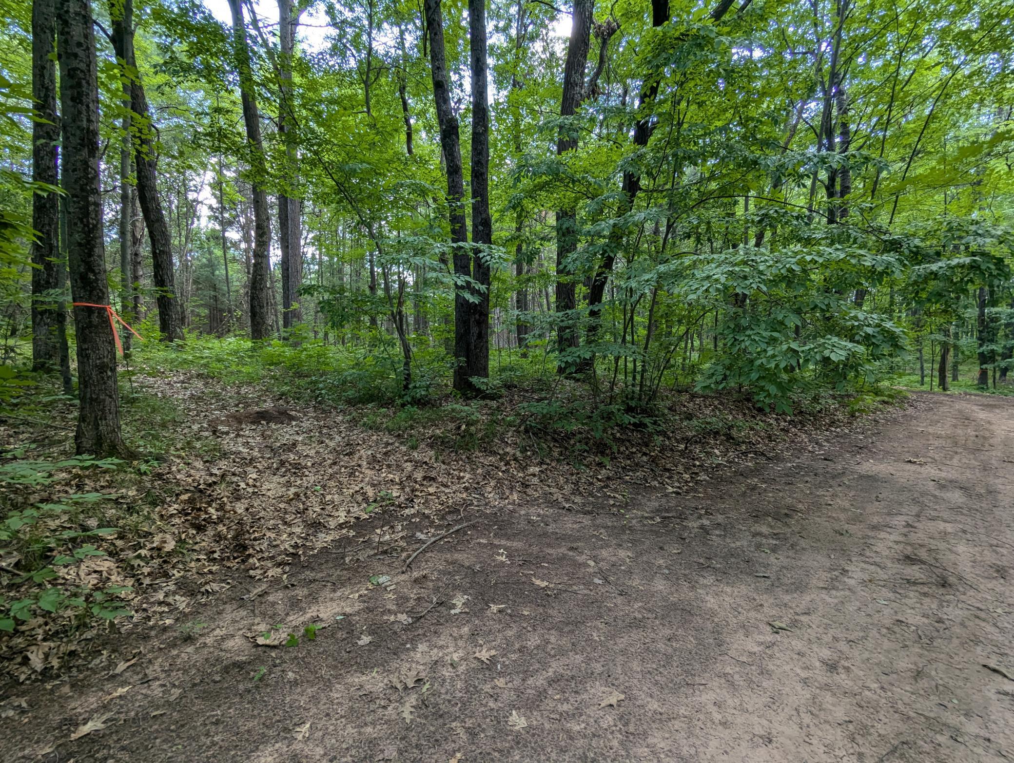 Lot 5 Fosmo Webster, WI 54893 - Photo 3 of 16