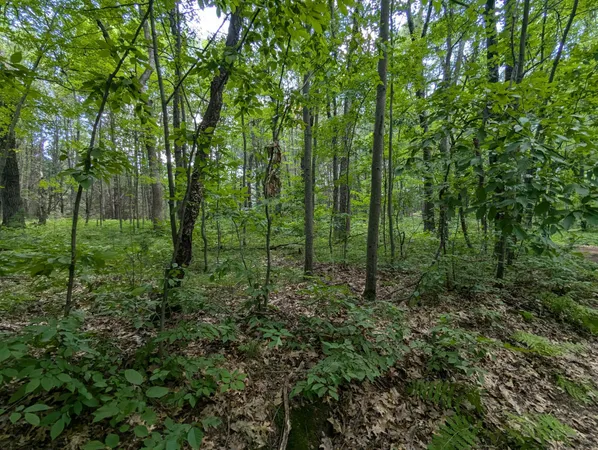 $26,900 | Lot 5 Fosmo, Webster, WI 54893