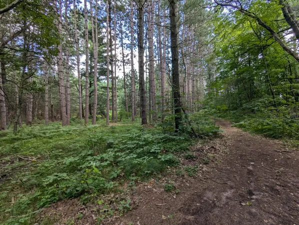 $26,900 | Lot 5 Fosmo, Webster, WI 54893