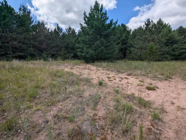 $26,900 | Lot 5 Fosmo, Webster, WI 54893