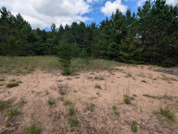$26,900 | Lot 5 Fosmo, Webster, WI 54893