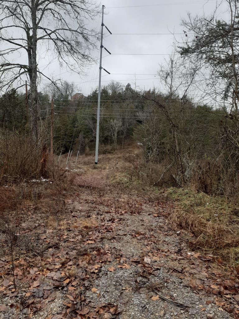 0 Ridge Road Sevierville, TN 37862 - Photo 6 of 11