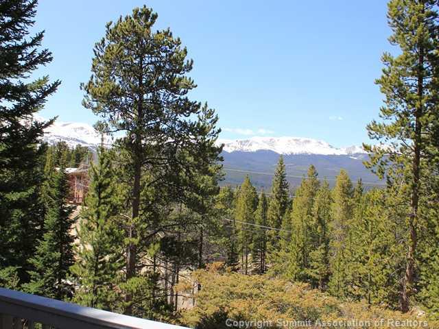 576 Moonstone Road Breckenridge, CO 80424 - Photo 6 of 22 a view of a building