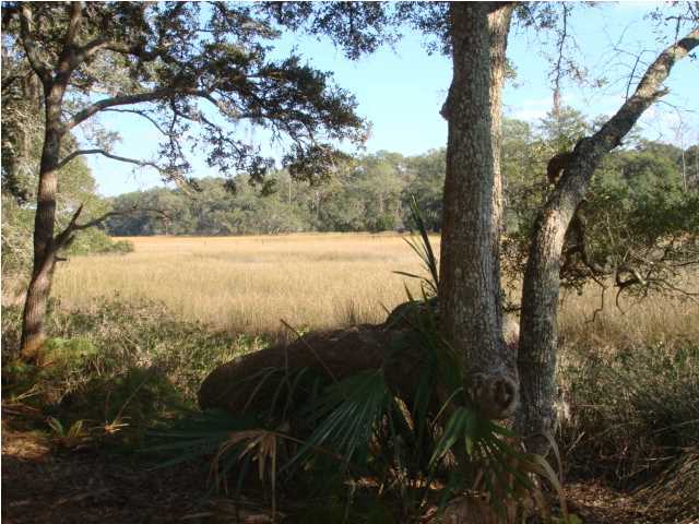 5 Wharf Ferry Road Edisto Island, SC 29438 - Photo 4 of 7 Additional Photo