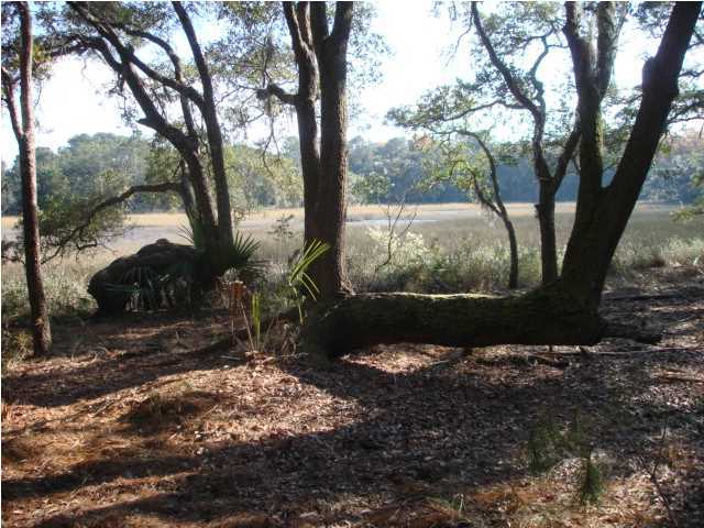 5 Wharf Ferry Road Edisto Island, SC 29438 - Photo 6 of 7 Additional Photo