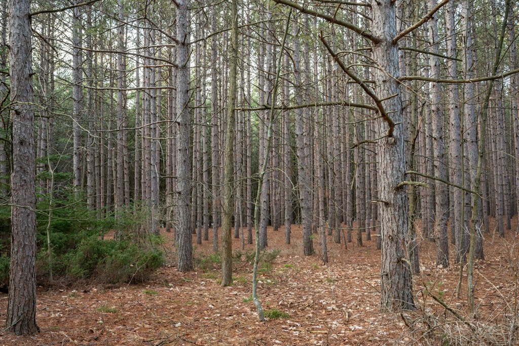 Lot 1 Quarterline Road Fish Creek, WI 54212 - Photo 15 of 21