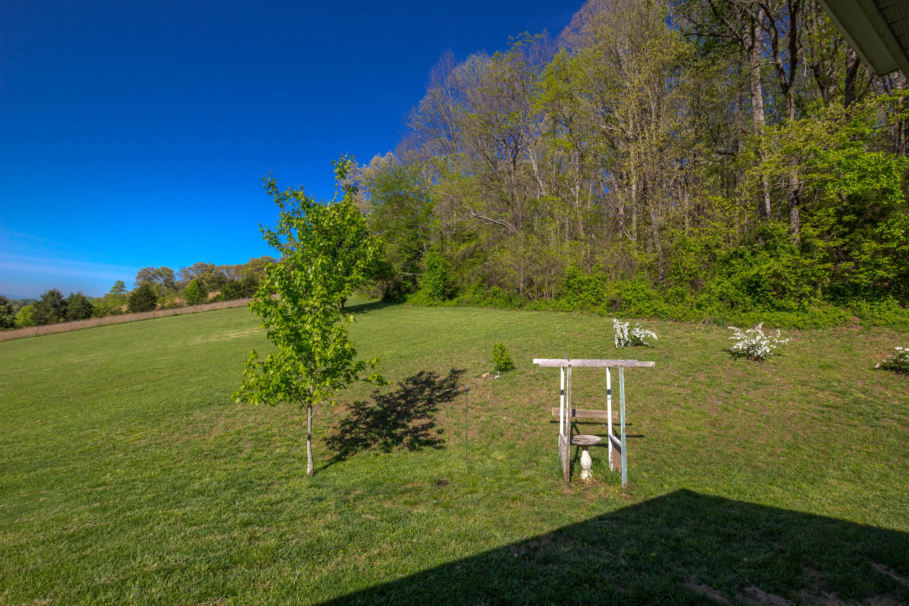 265 Hartmantown Road Jonesborough, TN 37659 - Photo 47 of 59 IMG_9894