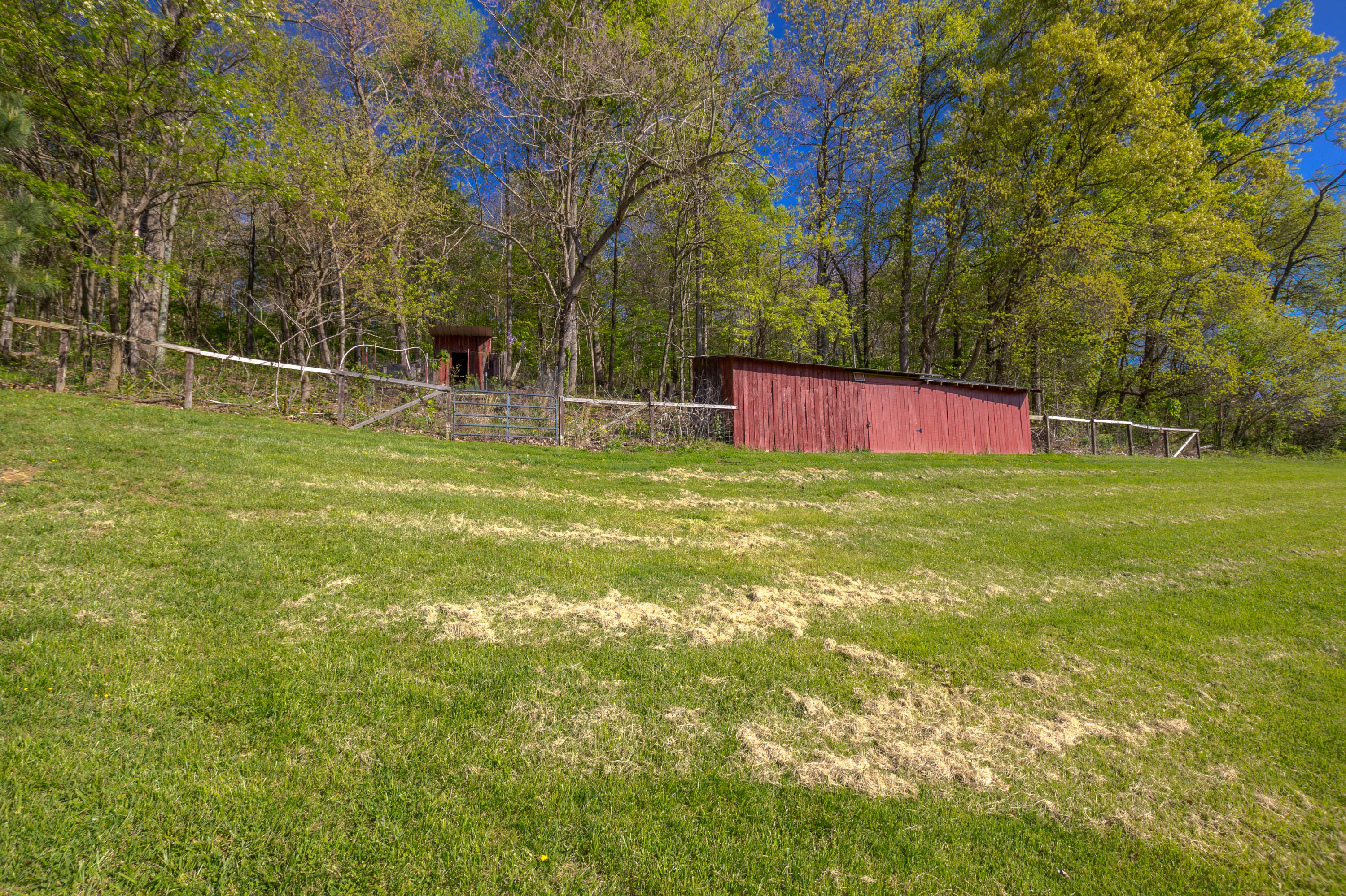 265 Hartmantown Road Jonesborough, TN 37659 - Photo 48 of 59 IMG_9896