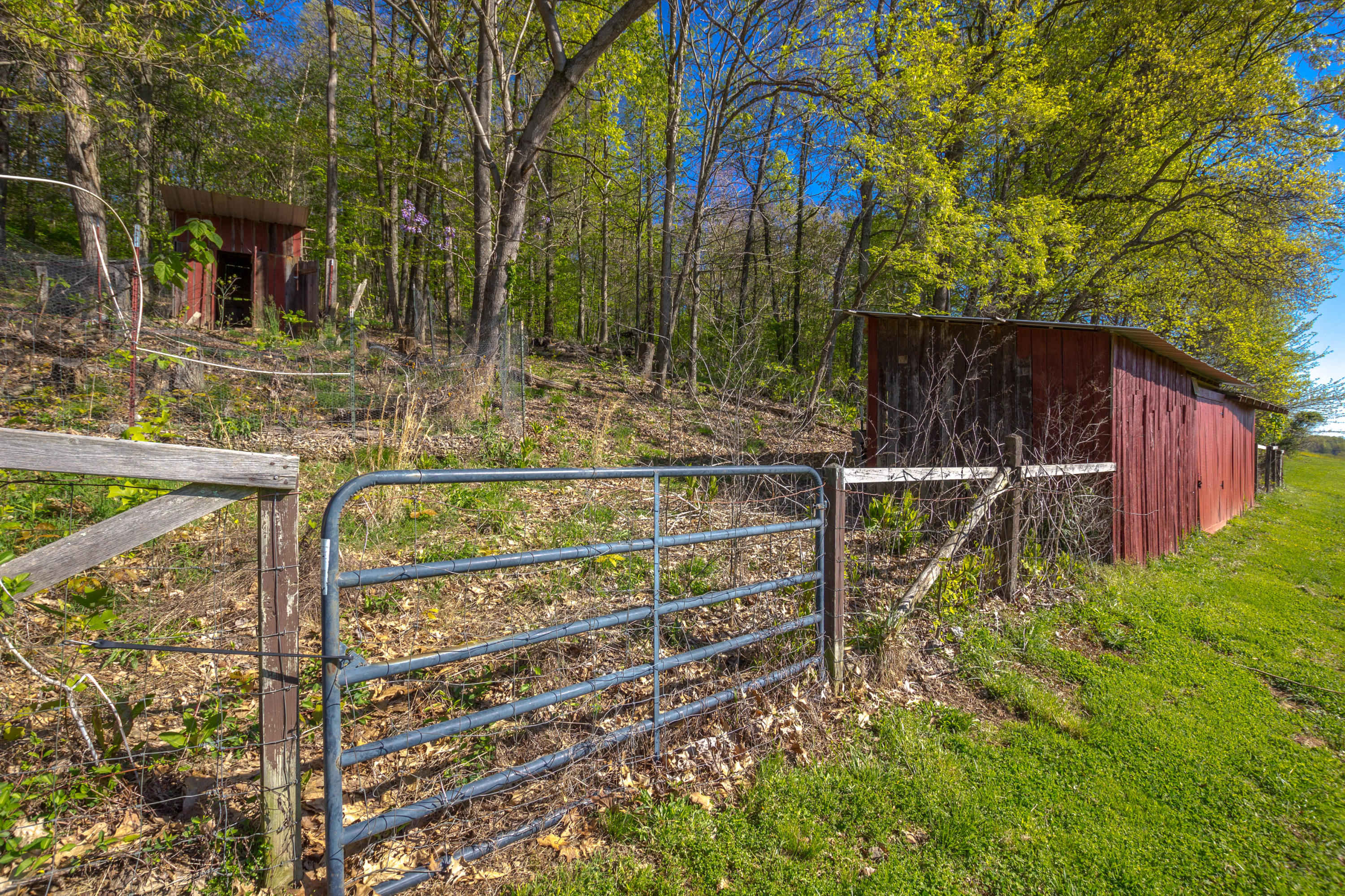 265 Hartmantown Road Jonesborough, TN 37659 - Photo 58 of 59 IMG_9921