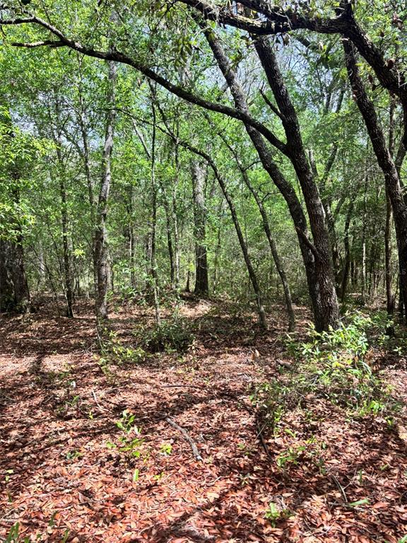 83rd Lane Bronson, FL 32621 - Photo 3 of 5