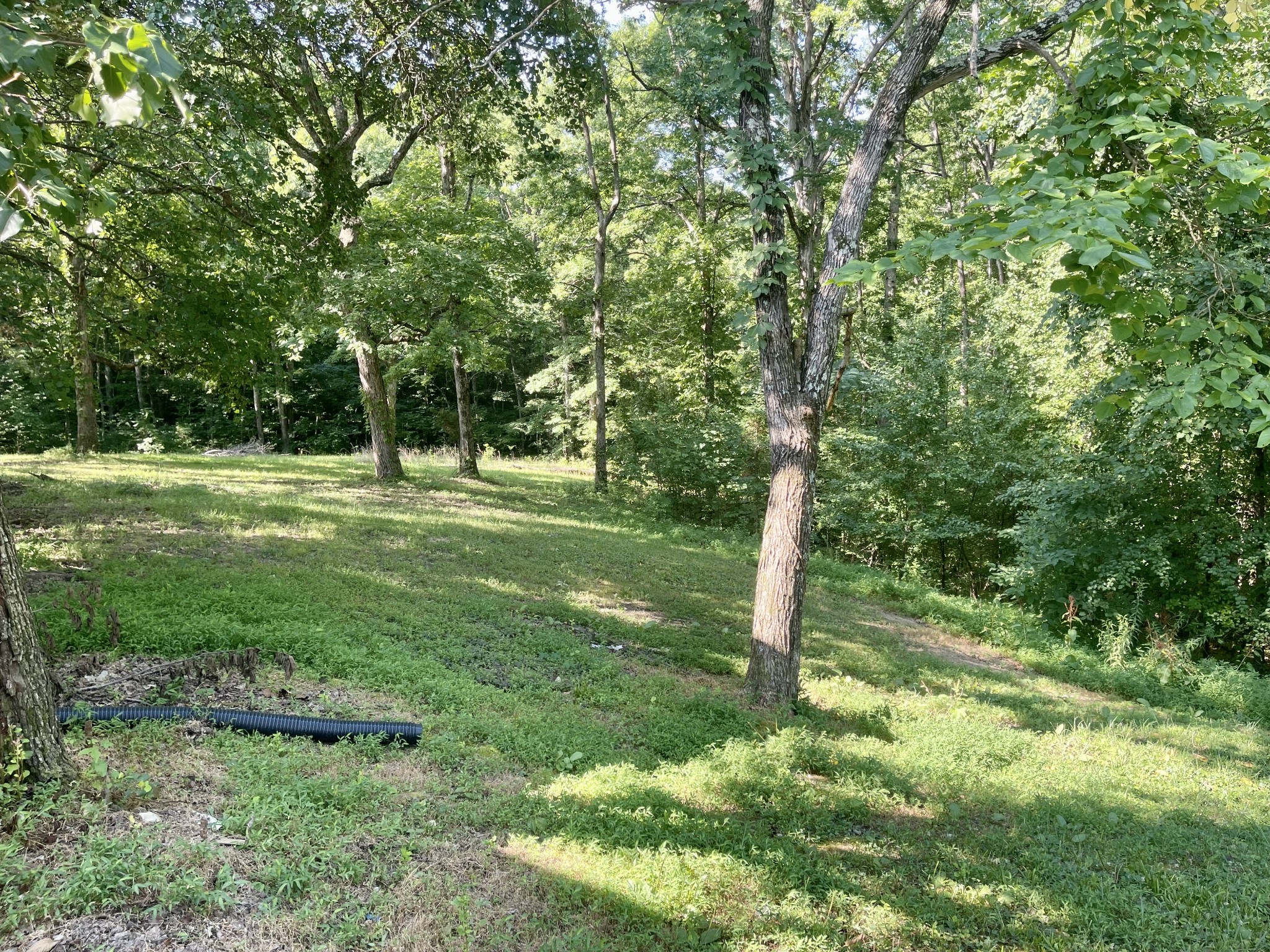 364 Cottrell Ridge Road Dover, TN 37058 - Photo 18 of 20 Gallery Image 18