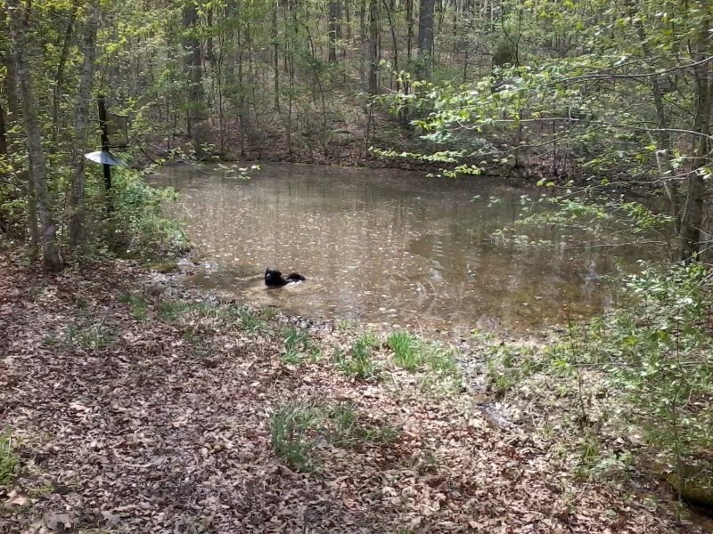364 Cottrell Ridge Road Dover, TN 37058 - Photo 19 of 20 Gallery Image 19