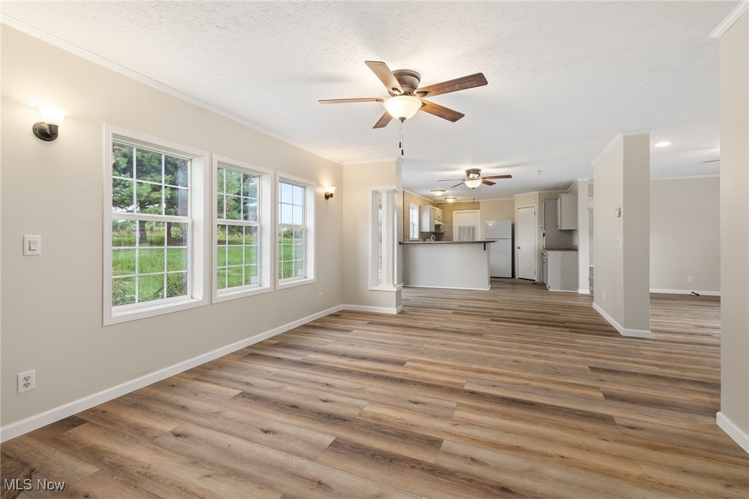4838 Angling Rd Extension Wooster, OH 44691 - Photo 10 of 39 Unfurnished living room with crown molding, ceiling fan, wood finished floors, and a textured ceiling