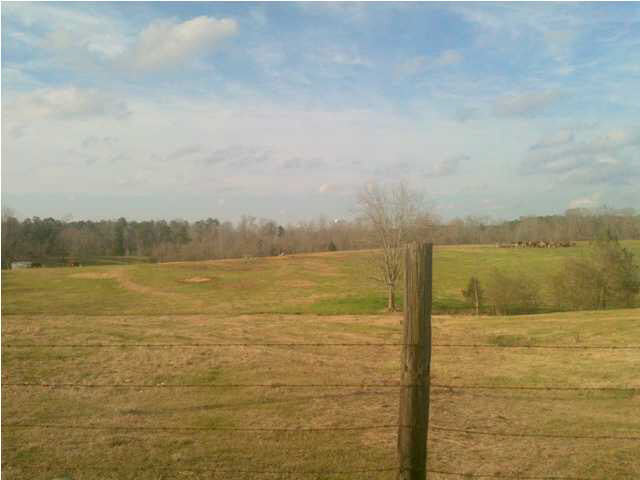 1653 Falvey Road Northwest Wesson, MS 39191 - Photo 5 of 15 Photo 5