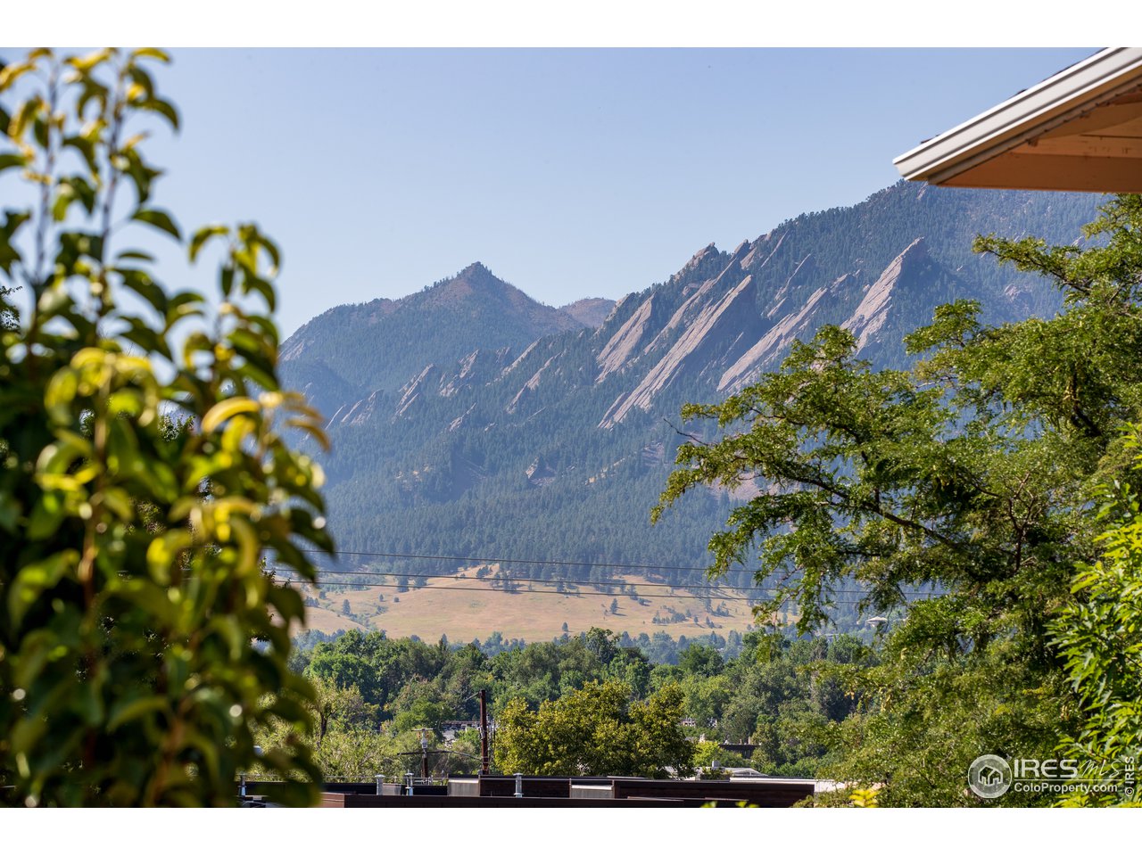 1229 Cedar Avenue Boulder, CO 80304 - Photo 14 of 29 a view of a house with a yard and a garden