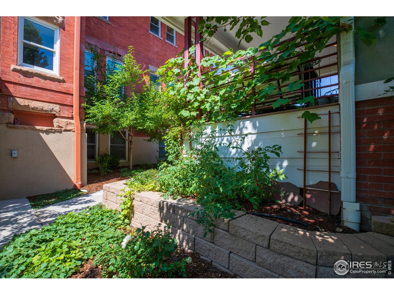 1229 Cedar Avenue Boulder, CO 80304 - Photo 22 of 29 a view of backyard with potted plants and a tree