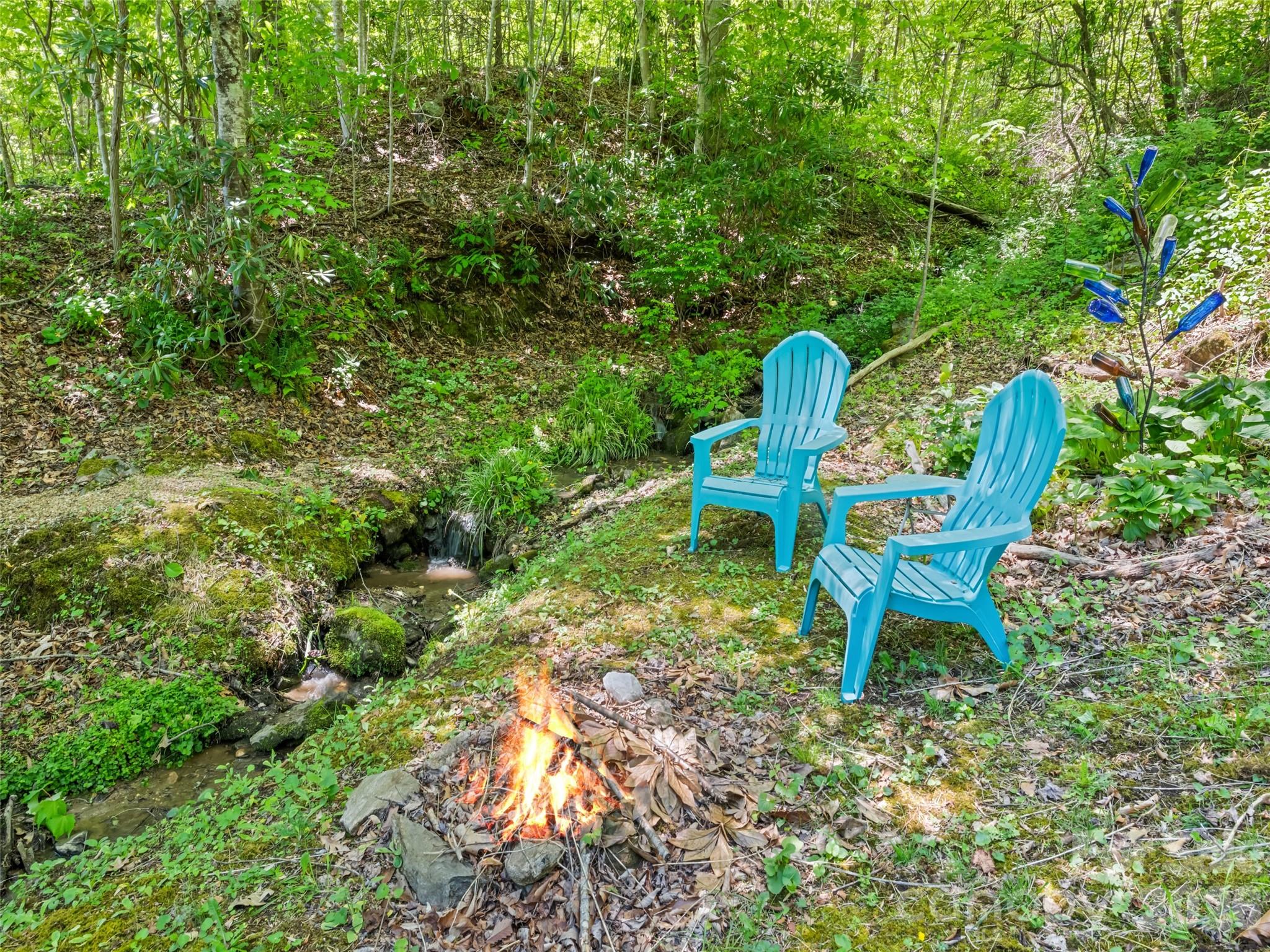 300 Kelley Springs Road Waynesville, NC 28786 - Photo 5 of 29
