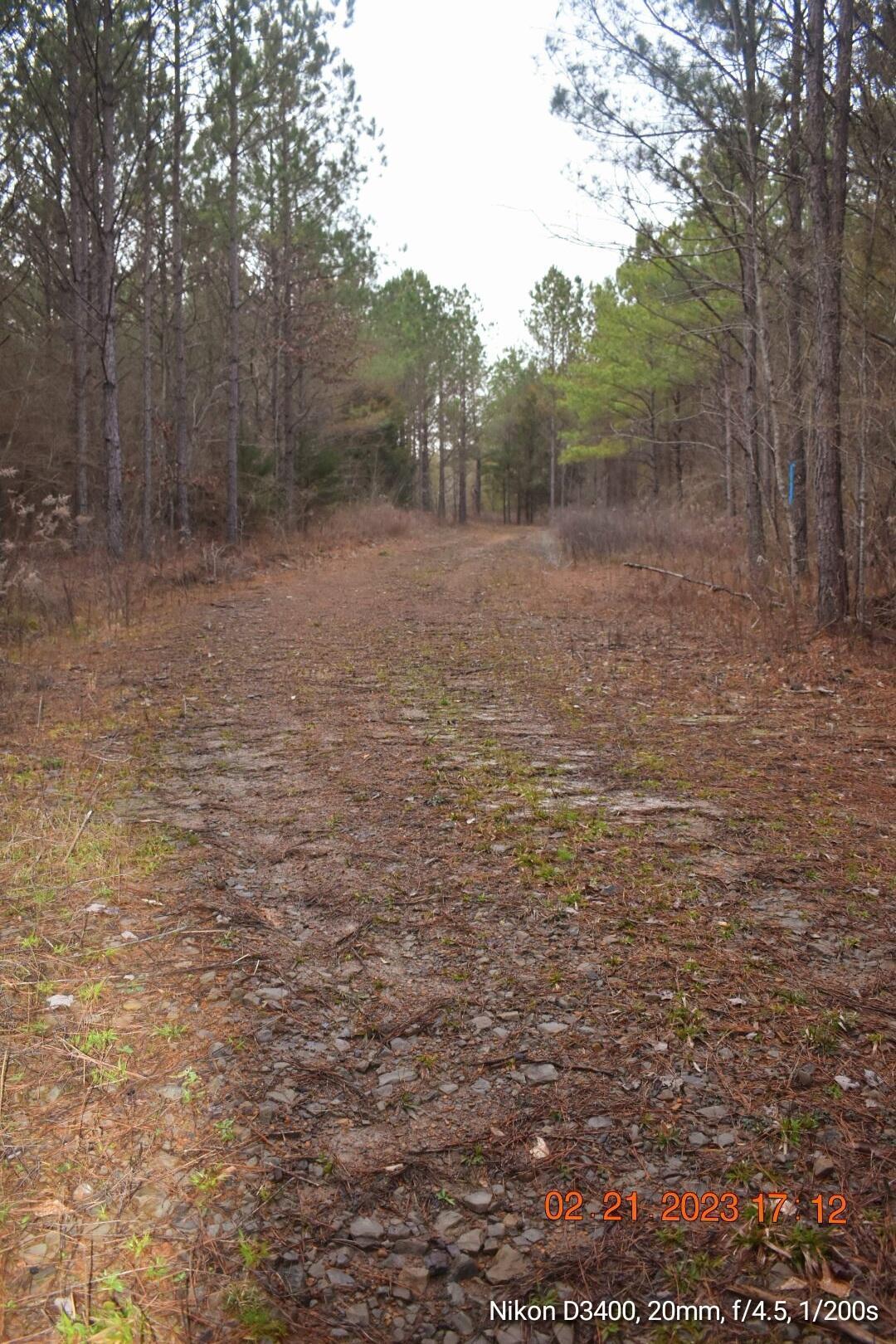 Leonards Chapel Road Carbon Hill, AL 35549 - Photo 26 of 41 Gallery Image 26