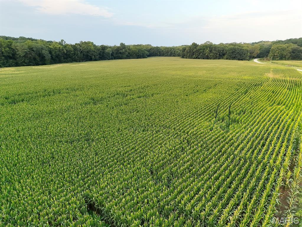 0 Tickridge Road Elsberry, MO 63343 - Photo 10 of 15 Gallery Image 10