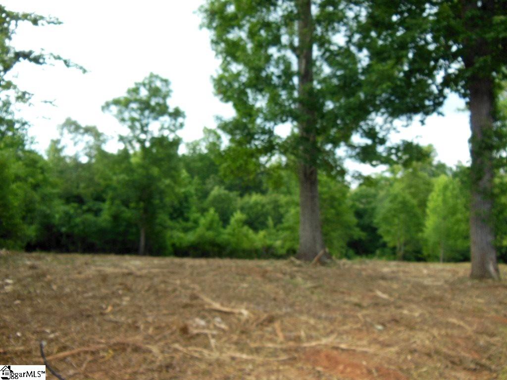 Karla Court Fountain Inn, SC 29644 - Photo 6 of 15 Gallery Image 6