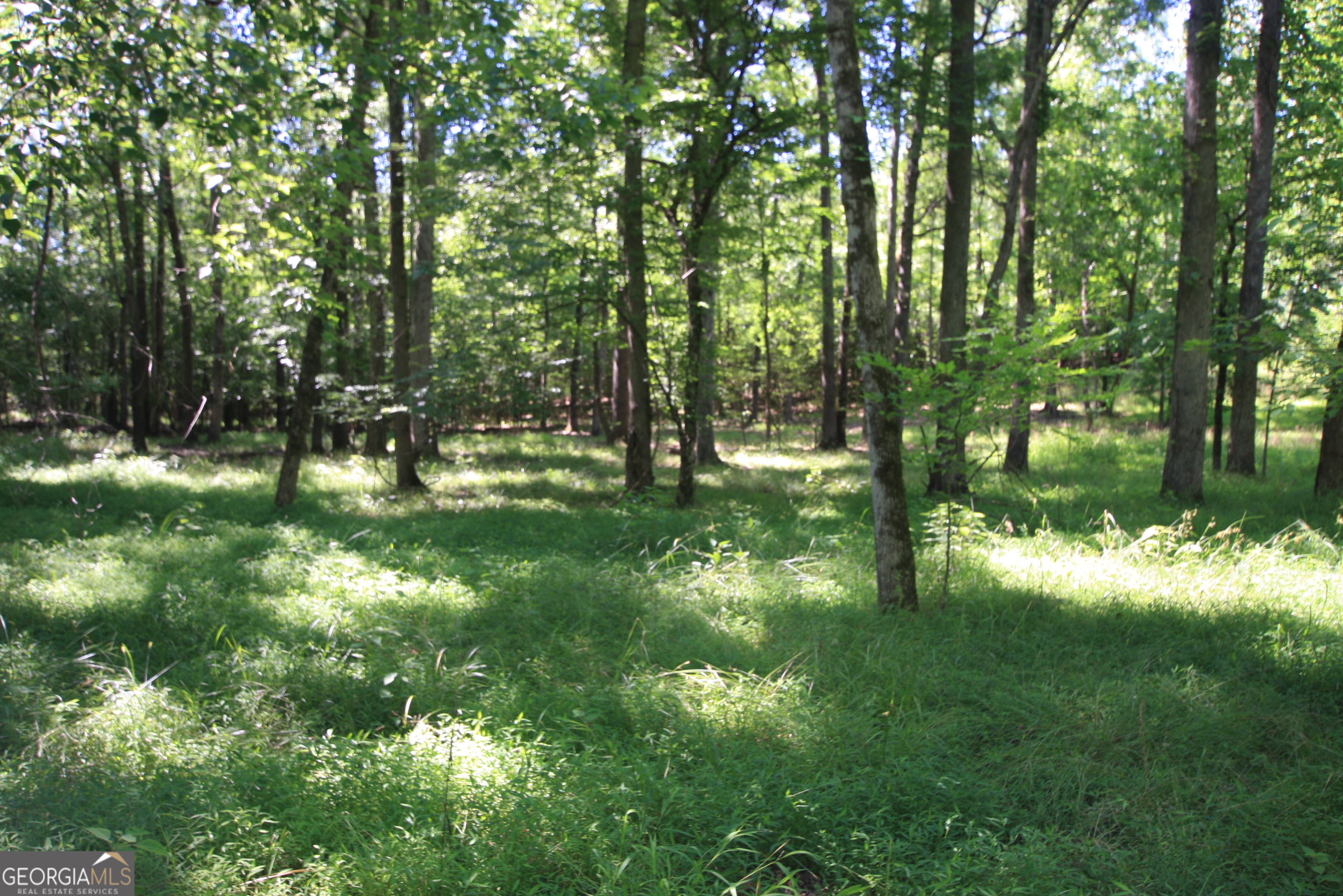 0 Mcgee Bend Road Rome, GA 30165 - Photo 29 of 33