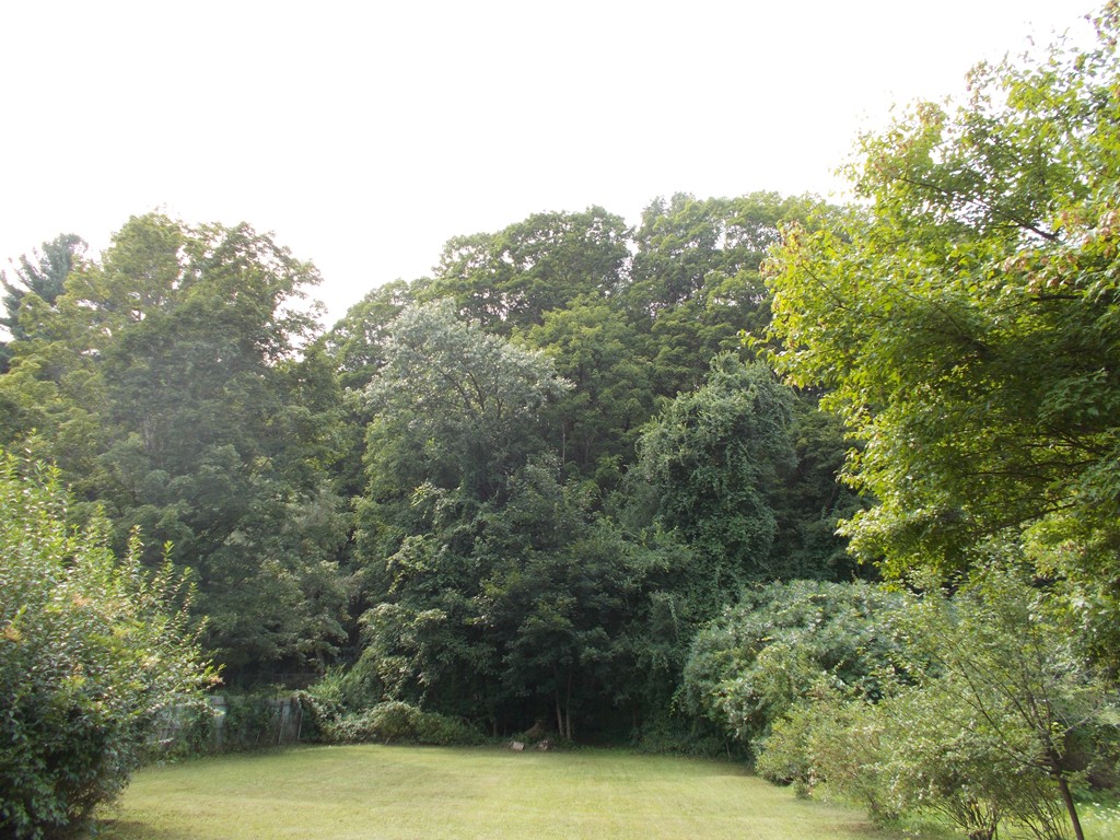 0 West Farms Road Northampton, MA 01062 - Photo 3 of 3