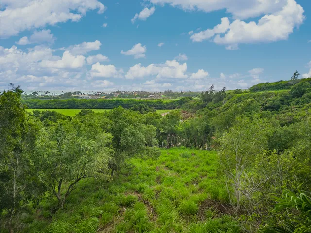 a view of a green field