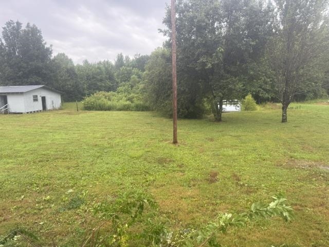 1100 Pine Top Road Toone, TN 38381 - Photo 29 of 40 Expansive green space featuring a utility building, mature trees, and a glimpse of a body of water in the background