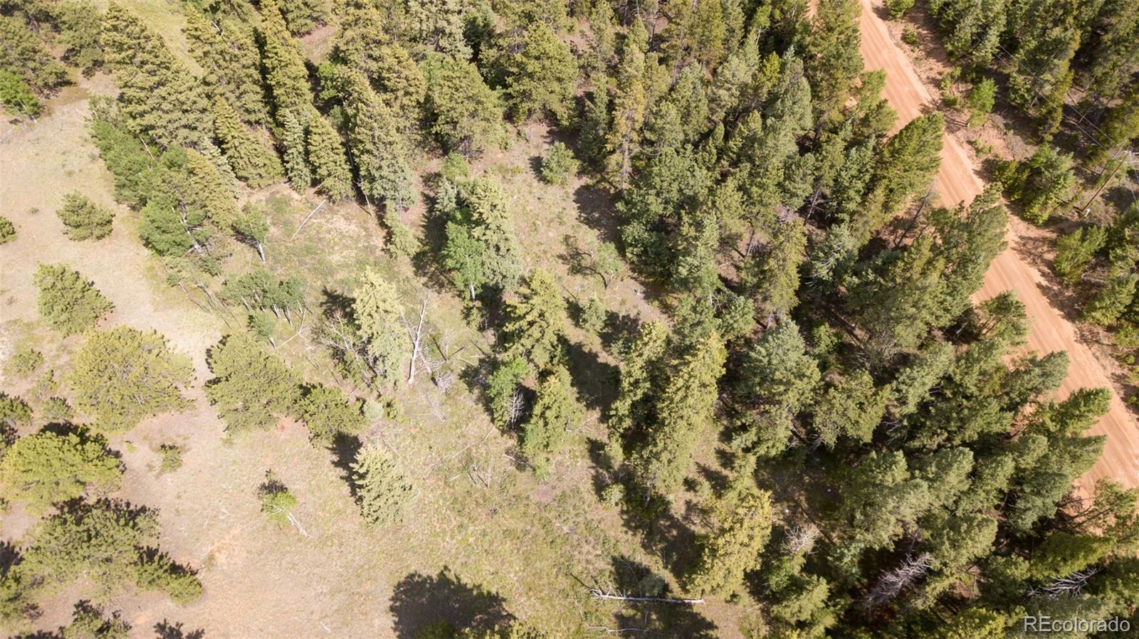 402 Double Tree Road Bailey, CO 80421 - Photo 8 of 11