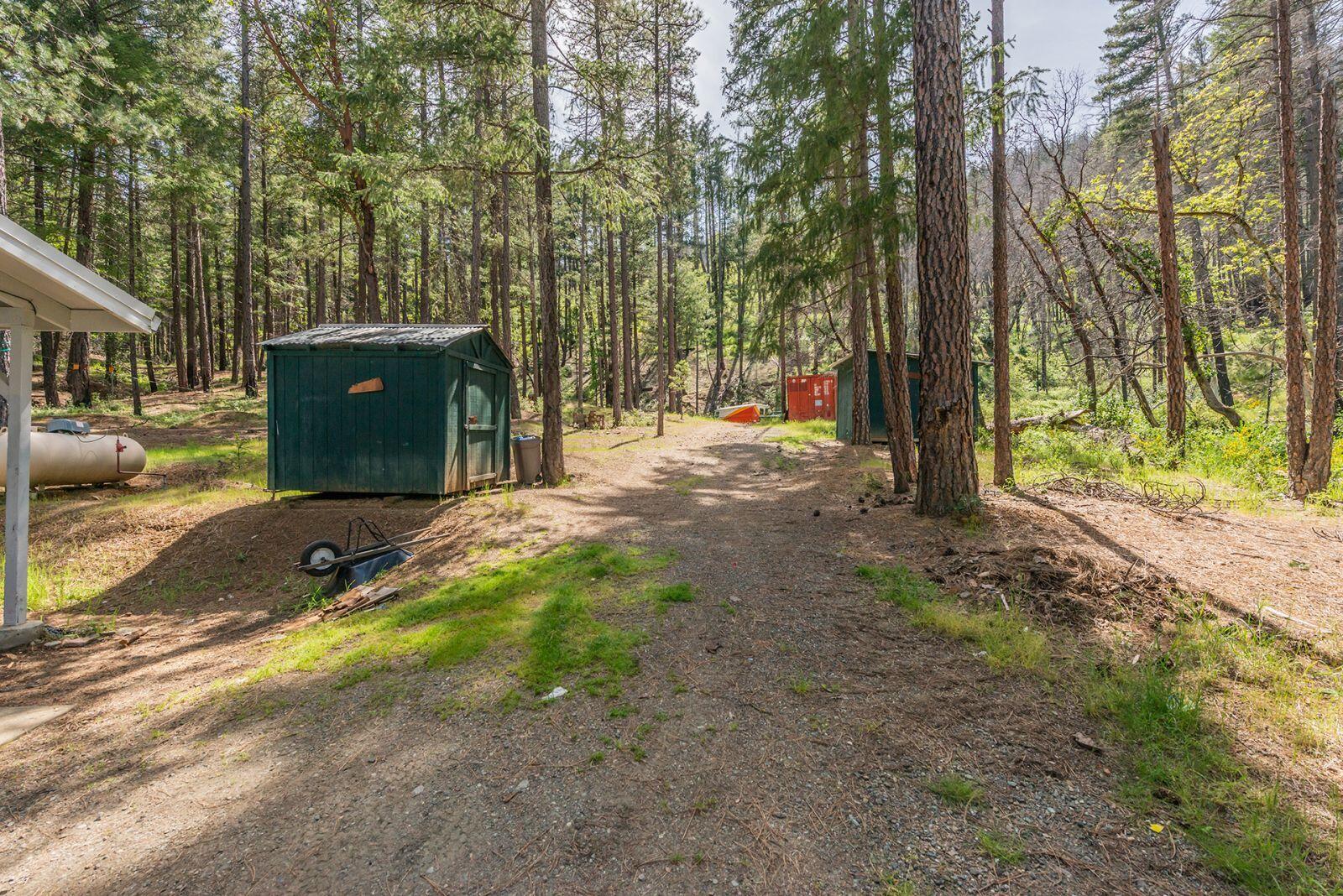 710 Dutch Creek Road Junction City, CA 96048 - Photo 31 of 38 a view of a yard with of trees