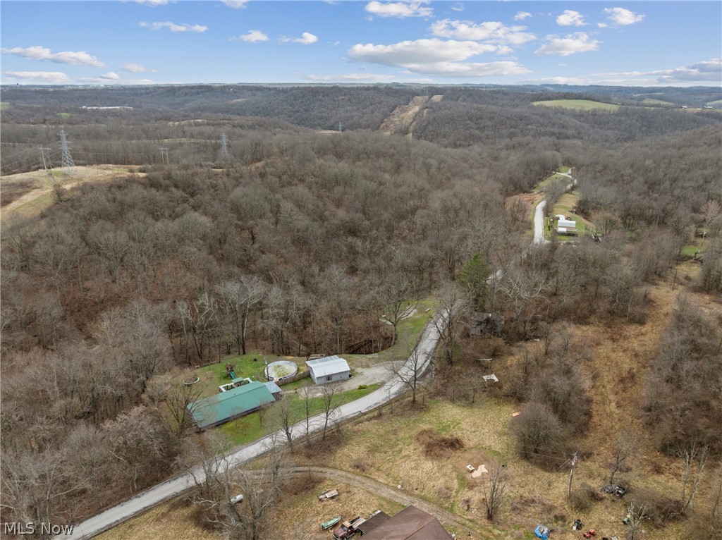 38340 Lees Run Road Cadiz, OH 43907 - Photo 20 of 31 Drone / aerial view of a forest