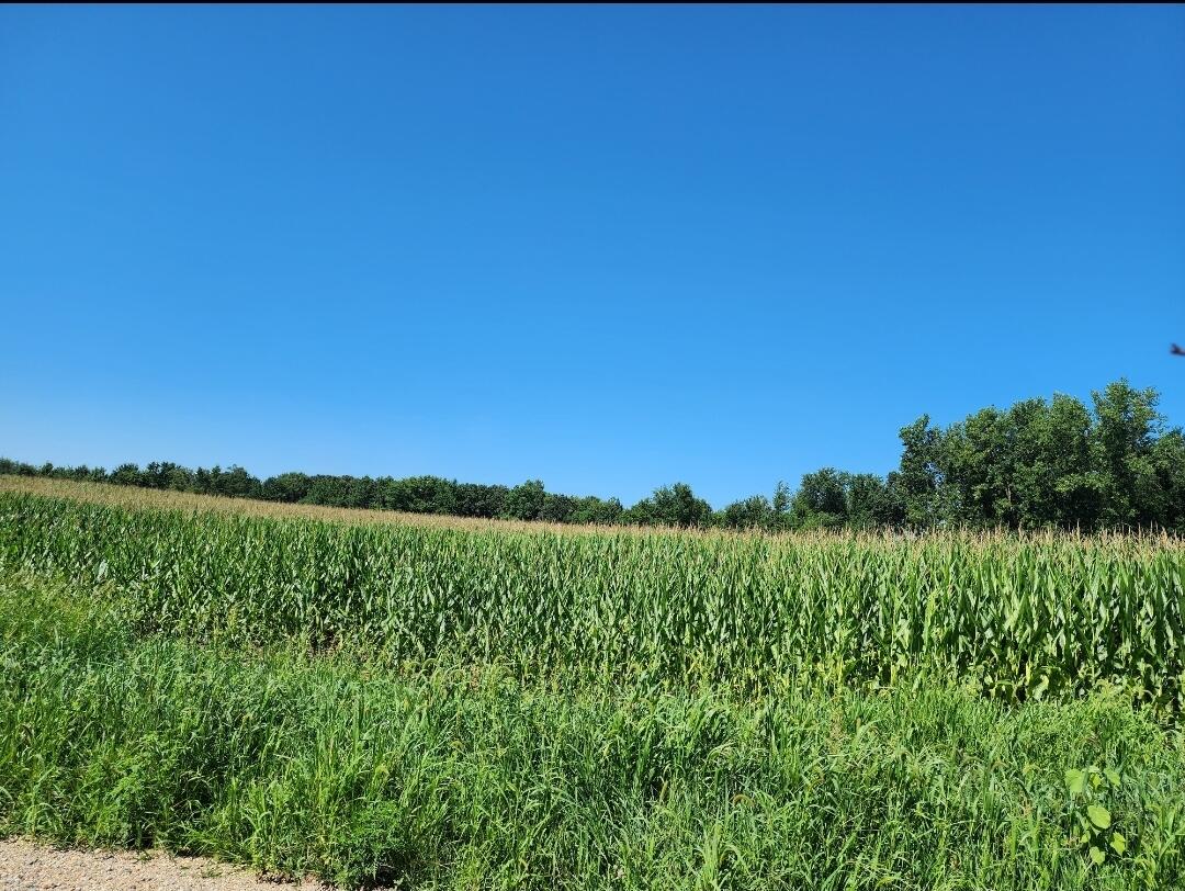 Root V/l Road Constantine, MI 49042 - Photo 1 of 10 Root Road pic 1